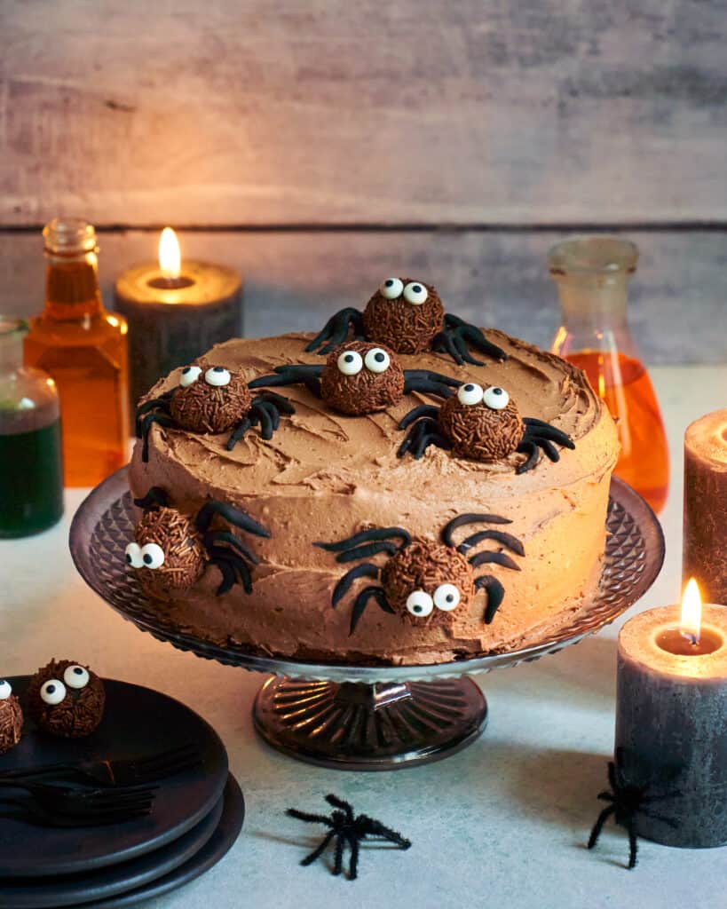 Halloween Party Food For Kids: Spider Chocolate Cake